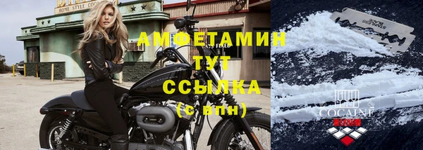 трава Белокуриха