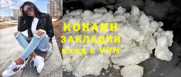 трава Белокуриха