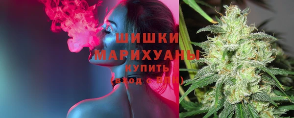 трава Белокуриха