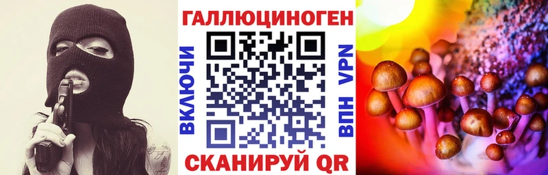 как найти   Кремёнки  Псилоцибиновые грибы Cubensis 